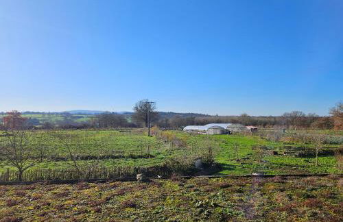 Ferme écologique - Foto 13