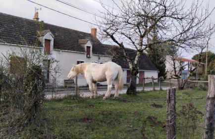 Maison N 2 Du Bas Coudreau - Foto 5