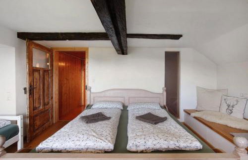 Black Forest Woods - Foto 14