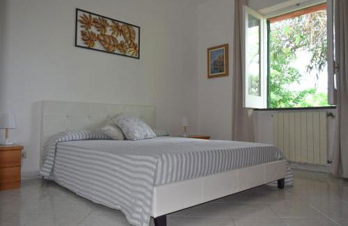 IL GIARDINO SELVATICO DI SUCCELLARIO - APARTMENTS - Foto 12