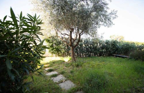 Casa Vacanze Cecilia - Foto 43