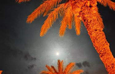 Mar y Montaña - l'Hospitalet de l'Infant - Foto 32