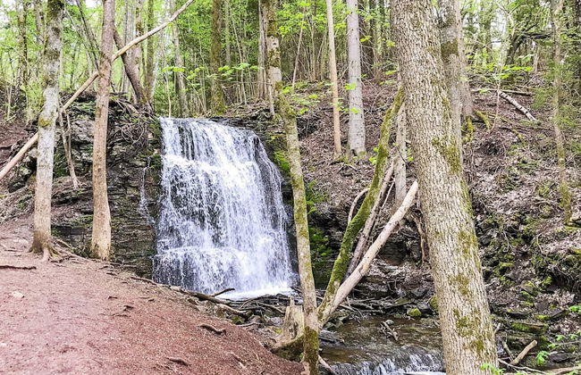 4 Person Holiday Home in Lerdala-by Traum - Foto 18