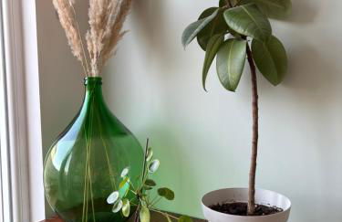 Le St-Arnould - Vue Cathédrale, central & calme - Photo 37