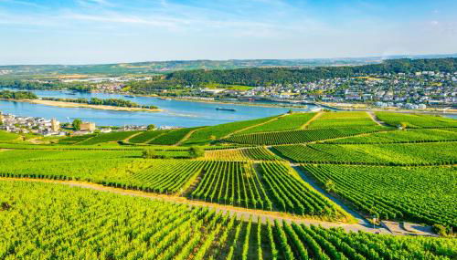 LaBed - Exklusives Wohnen im Weingut, zentral und stilvoll - Foto 5