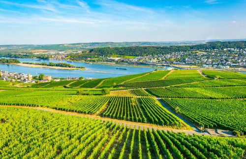 Ferienapartment im Zentrum komfortabel und praktisch - Foto 7