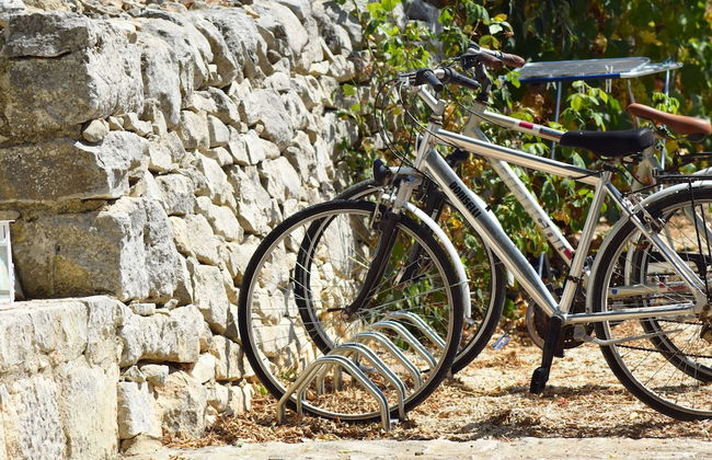 Artemisia Resort - Photo 67