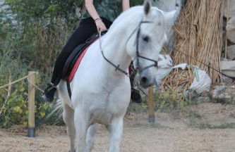 La Choza de Trasmulas - Foto 19