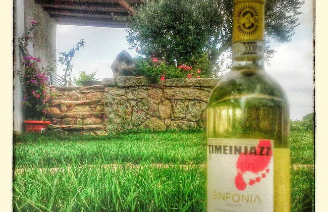 Agriturismo B&B Domo De Resteblas - Foto 26