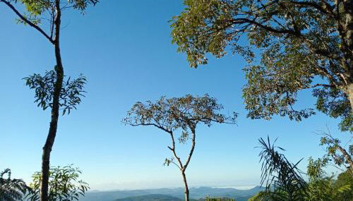 CHALÉ ALPES DOS ANJOS TUDO NUM SÓ LUGAR NATUREZA MOBILIA COMPLETA ESPAÇOSO SEM STRESS A 2 KM DO CENTRO DE CANELA rs - Photo 4