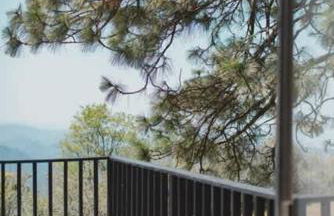 Secluded rustic 2-bedroom cabin at nature retreat - Photo 6