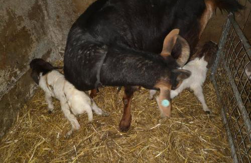 Stybeck Farm - Foto 35