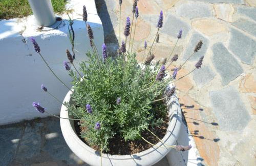 Villa Kristi - Foto 9