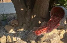 Dionisia Apartments - Foto 13