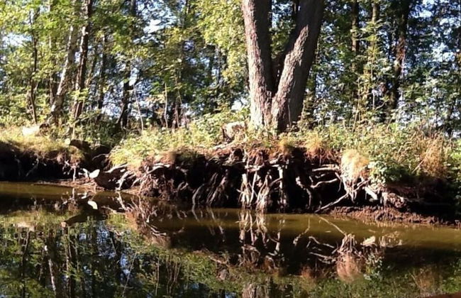 Holiday Home Lalelu Comfortable Vacation Home - Foto 16