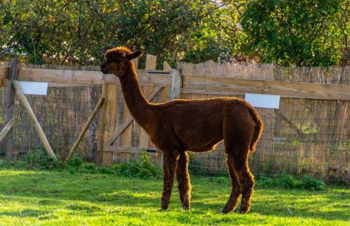 Vue du chateau a La Petite Ferme d'Alpacas - Foto 9