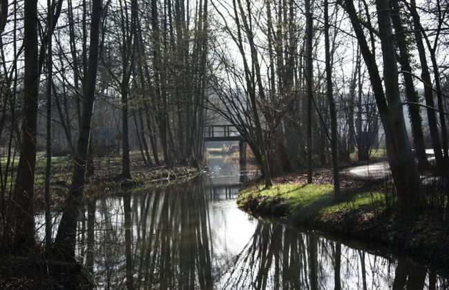 Spreewald Break Modern Retreat - Foto 12