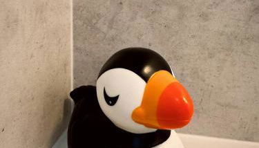 Firth View, Burghead - Photo 4