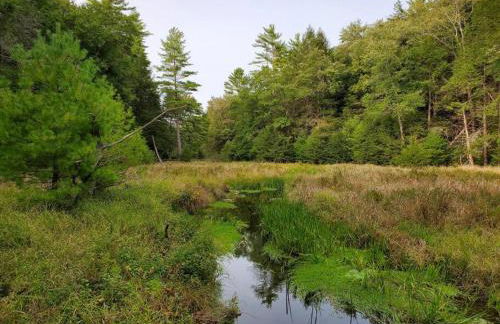 Little Birds Treehouse - Foto 10