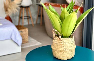 Appartement Agosta Plage - Foto 1