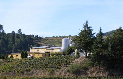 Solar Quinta da Portela - Douro - Photo 45