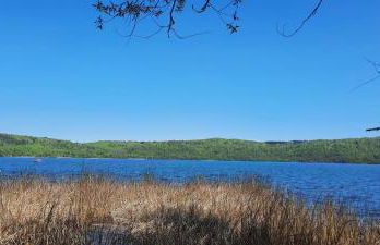 Fewo am Wingertsberg Glees Laacher See - Foto 31