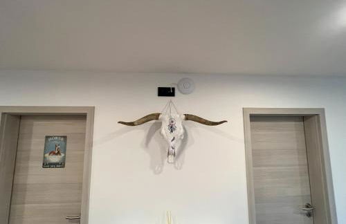 Ranchhouse Bubble - Westernstable - Horse - Foto 28