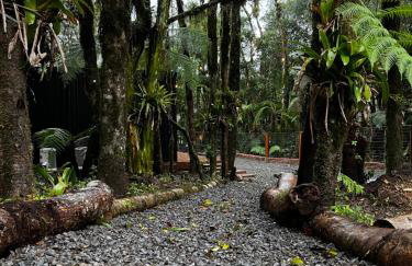 Lofts a 2km da Catedral, Pet Friendly, Wi-fi 1gb, Ar condicionado - Foto 6