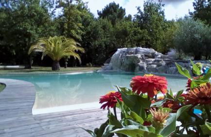 Domaine D'Erras -colibri - - Foto 9