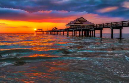 Clearwater Beach Pelican 2 - Foto 16