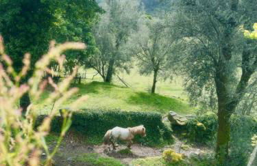 Casa d' Além Turismo e Natureza - Refúgio do Bosque - Foto 20