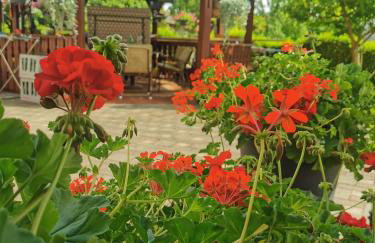 Apartmani Jastreb - Foto 15