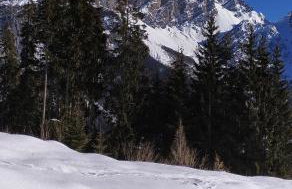 Tra prati e monti - Dolomiti Bellunesi - Foto 39