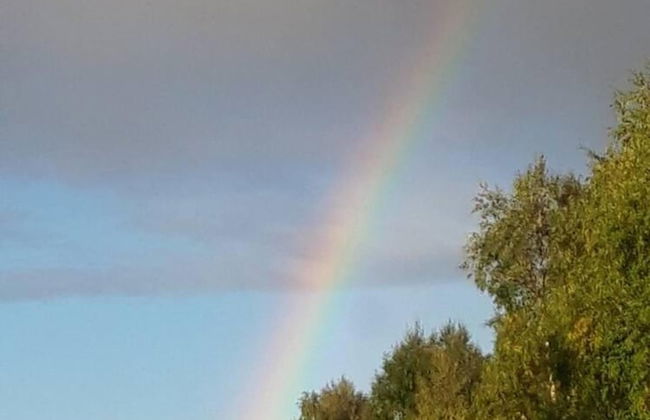 Old Post Office now Cosy Apartment Close to Nature - Foto 11