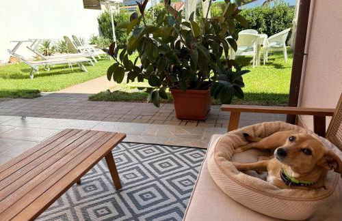 La Meria di Maria Villa Rosa - Foto 8