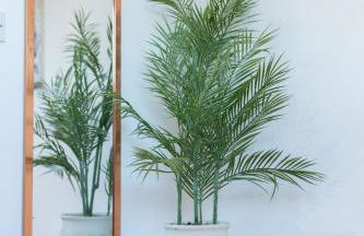 Richmond Retreat - Luxurious and comfortable spacious 2 floor apartment - Foto 39