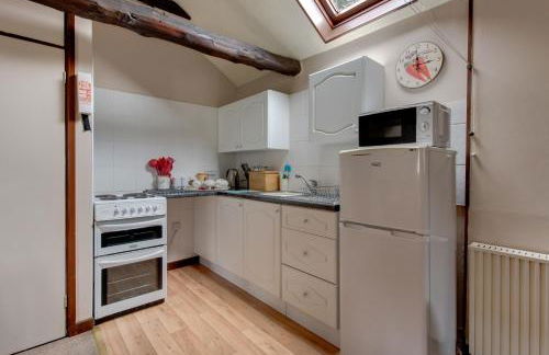 Birds Farm - Foto 60