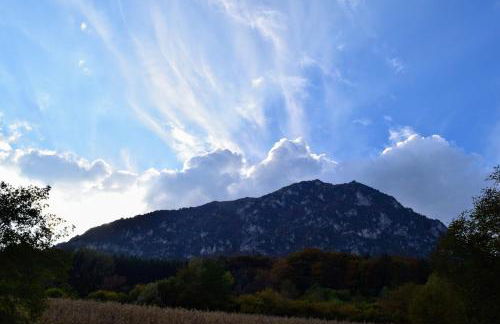 Dolomiti Apart - Foto 11