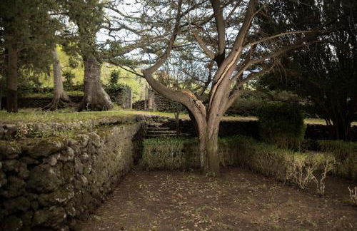 Parco Statella - Foto 62