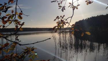 Haus am See in Kleinzerlang - Foto 4