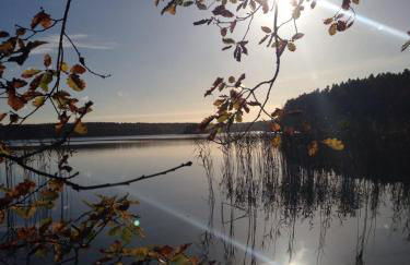 Haus am See in Kleinzerlang - Foto 4