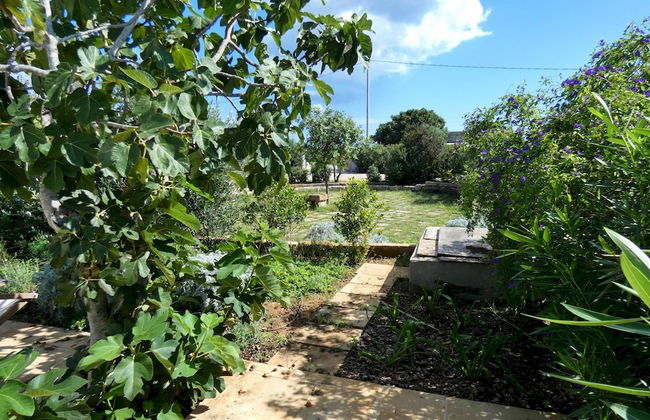 Lentisco - Residenza Arcangela con Piscine nel Salento - Photo 33