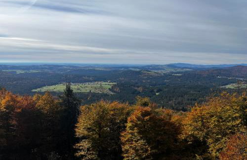 Winterwohnung Almberg - Foto 27
