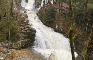 La Clémentine - Foto 24
