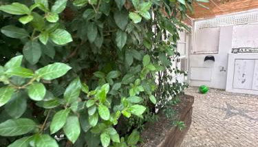 Vila Nogueira De Azeitao - Amaral's Guest Houses - Foto 5