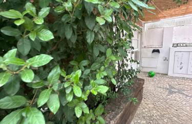 Vila Nogueira De Azeitao - Amaral's Guest Houses - Foto 5