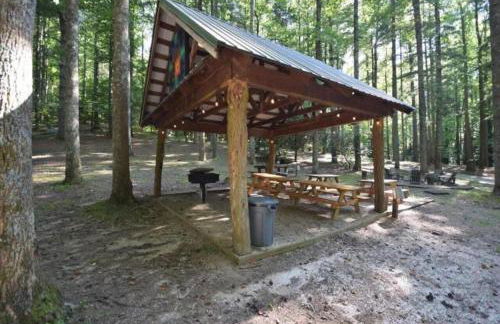 Saluda Summit Cabin at Cabin Fever - Foto 31