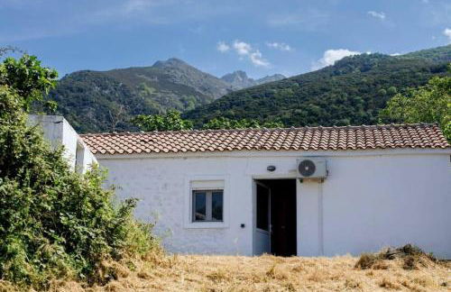 Solace Homie - Foto 14