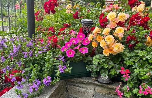 Casa Rosa Aprica - Foto 16