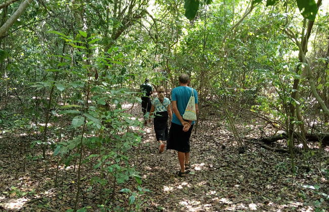 Tour por el bosque Kaya Kinondo - Foto 8